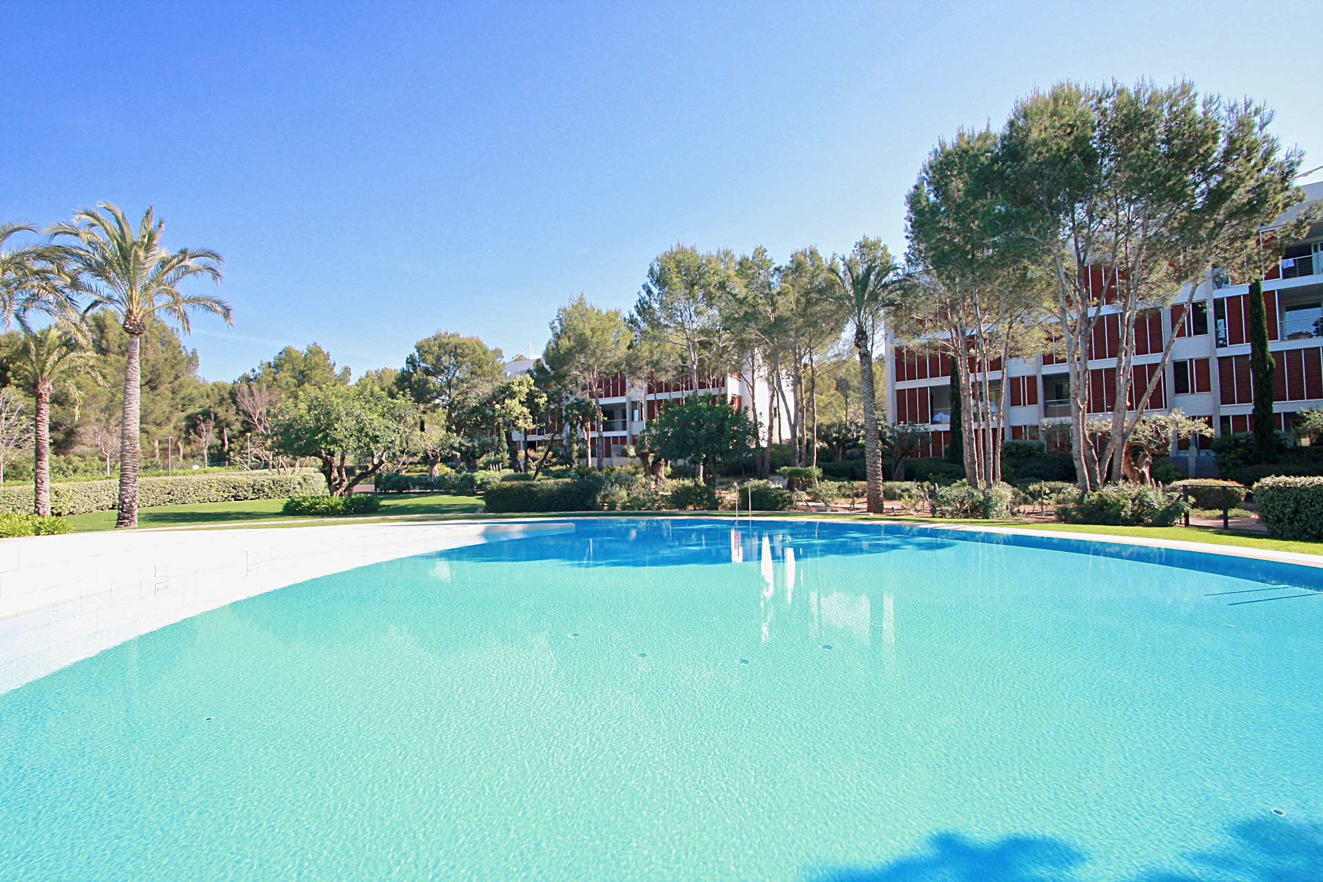 Bendinat: Luxueux appartement dans une résidence populaire avec superbe piscine à louer