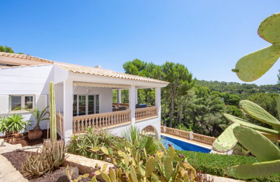 Camp de Mar: renovated villa with generouse garden and terraces and pool
